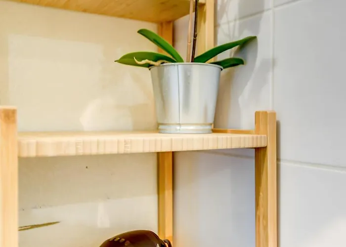 St Simon - 11 Couchages, Piscine, Parking, Parfait Entre Famille, Amis Ou Pros Τουλούζη